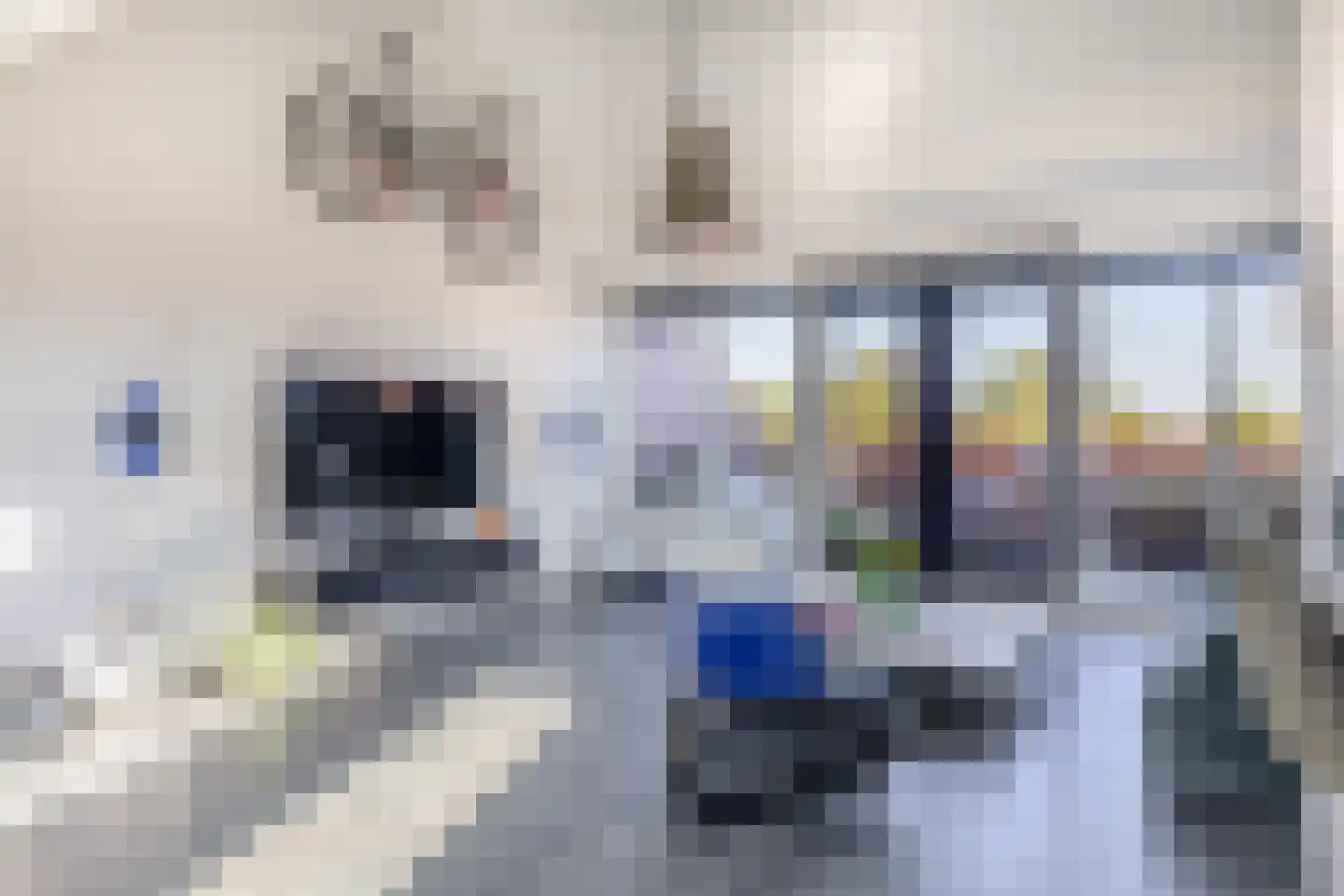 Smeeke Ven 175 B Assendelft thumbnail 6
