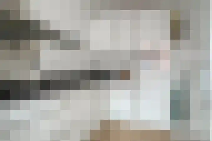 Smeeke Ven 177 A Assendelft thumbnail 10