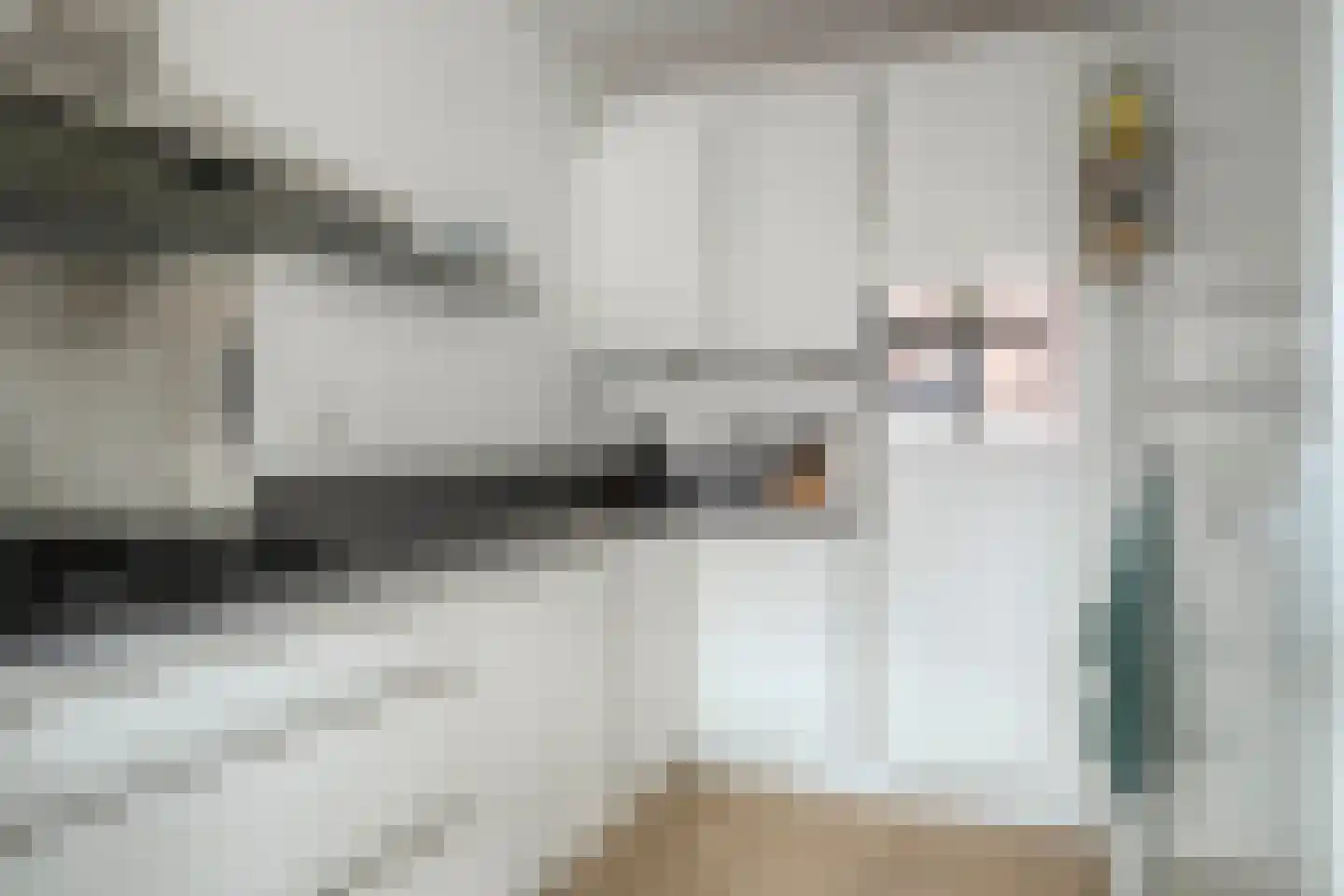 Smeeke Ven 177 A Assendelft thumbnail 10