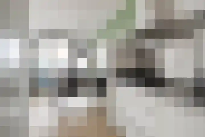 Smeeke Ven 177 A Assendelft thumbnail 12