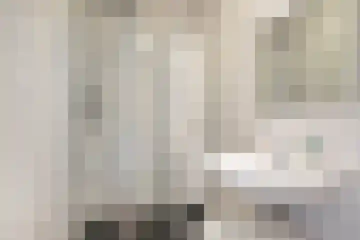 Smeeke Ven 177 A Assendelft thumbnail 15