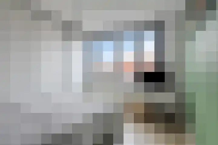 Smeeke Ven 177 A Assendelft thumbnail 17