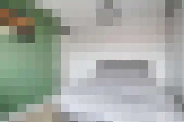 Smeeke Ven 177 A Assendelft thumbnail 18