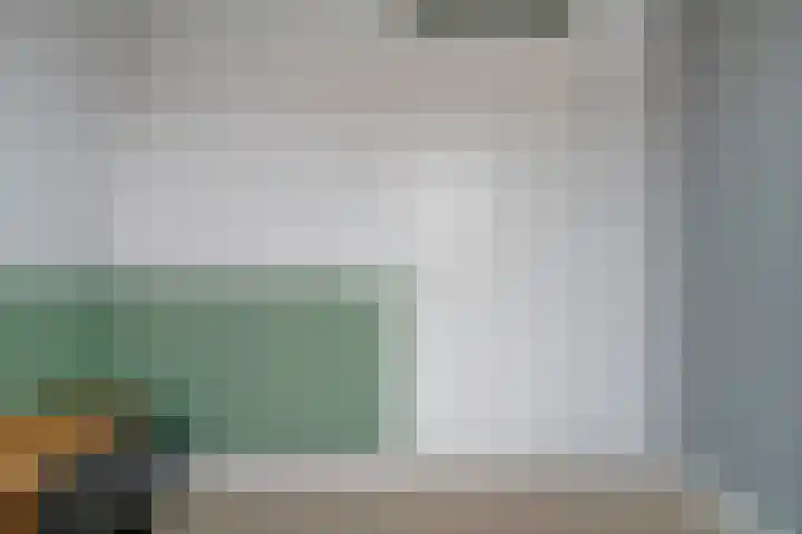 Smeeke Ven 177 A Assendelft thumbnail 20