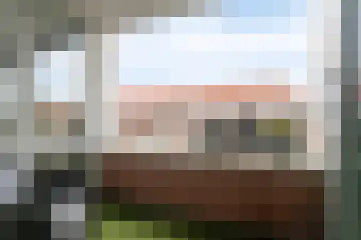 Smeeke Ven 177 A Assendelft thumbnail 21