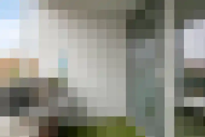 Smeeke Ven 177 A Assendelft thumbnail 22
