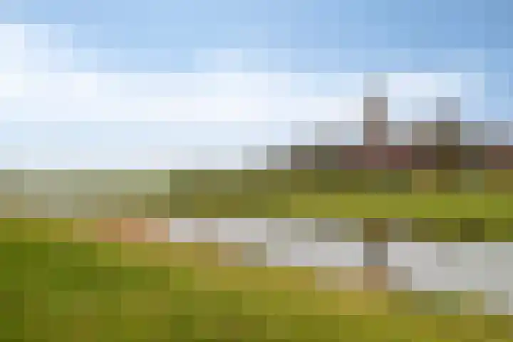 Smeeke Ven 177 A Assendelft thumbnail 25