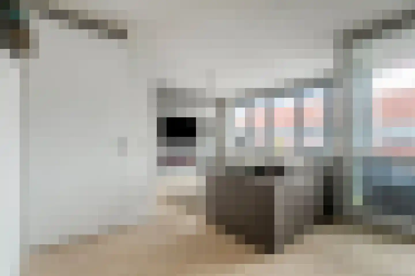 Smeeke Ven 177 A Assendelft thumbnail 6