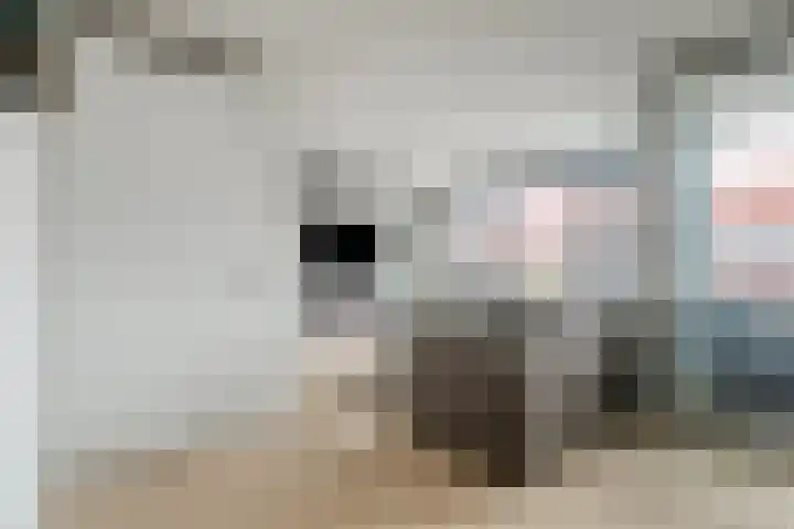 Smeeke Ven 177 A Assendelft thumbnail 6