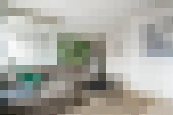 Smeeke Ven 177 A Assendelft thumbnail 8
