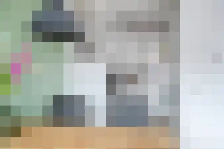 Smeeke Ven 177 A Assendelft thumbnail 9