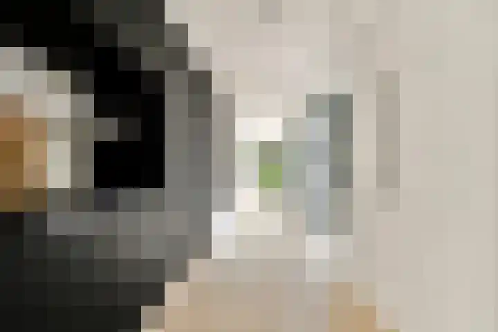 Smeekweg 19 Laren thumbnail 12