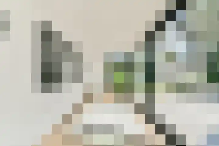 Smeekweg 19 Laren thumbnail 13