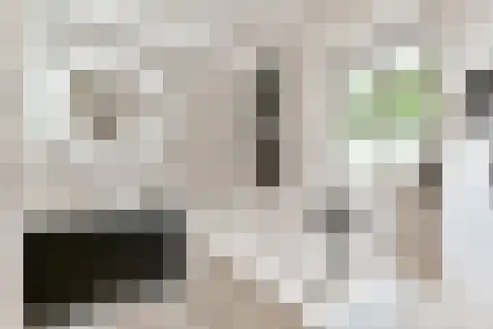 Smeekweg 19 Laren thumbnail 23