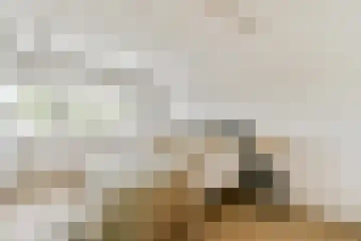 Smeekweg 19 Laren thumbnail 26