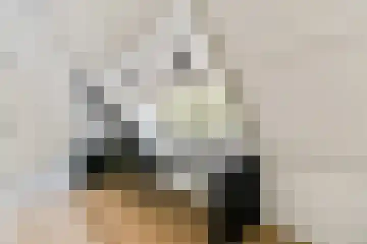 Smeekweg 19 Laren thumbnail 28