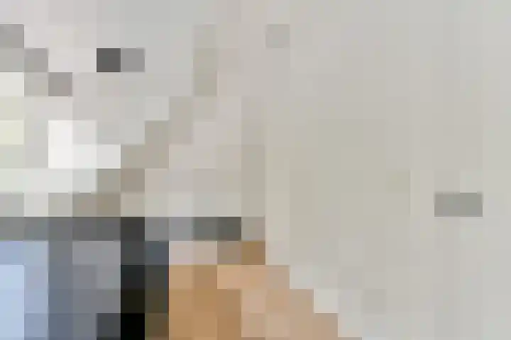 Smeekweg 19 Laren thumbnail 29