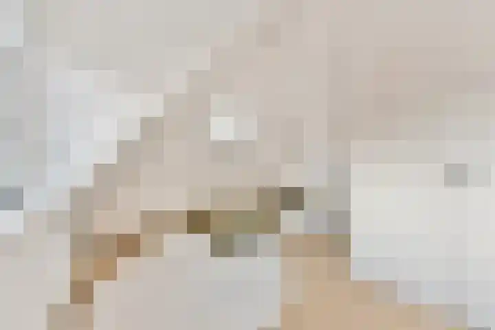 Smeekweg 19 Laren thumbnail 30