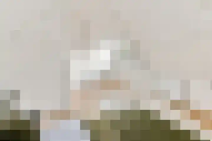 Smeekweg 19 Laren thumbnail 31