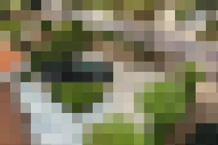 Smeekweg 19 Laren thumbnail 33