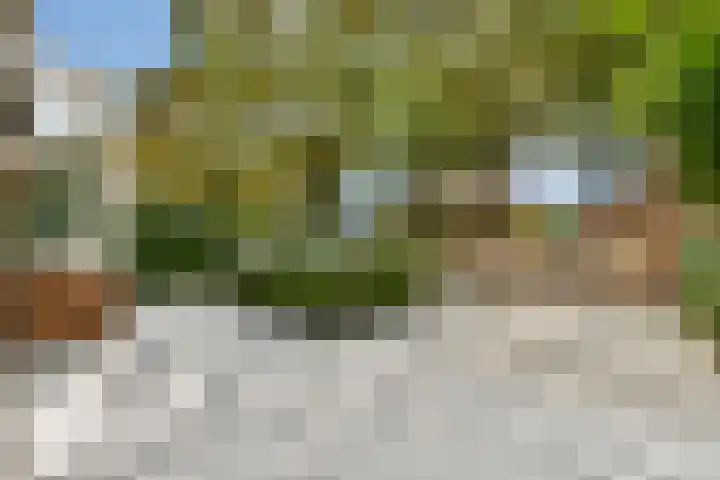 Smeekweg 19 Laren thumbnail 34