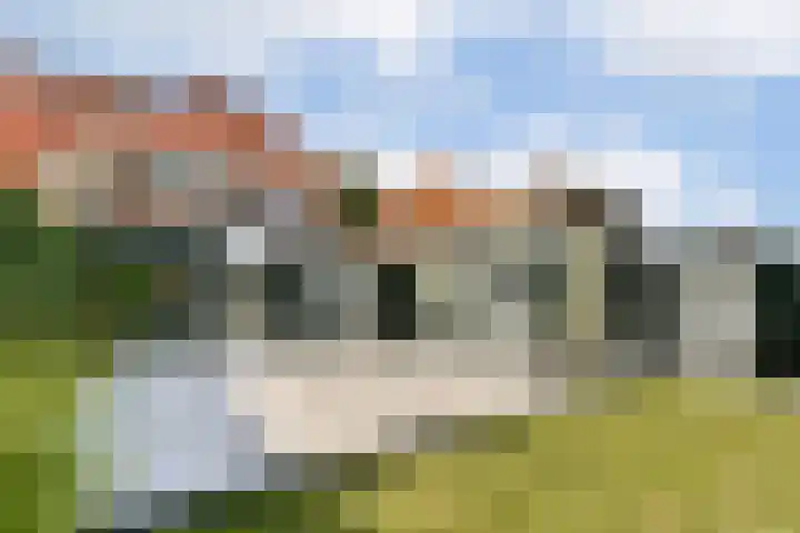Smeekweg 19 Laren thumbnail 36