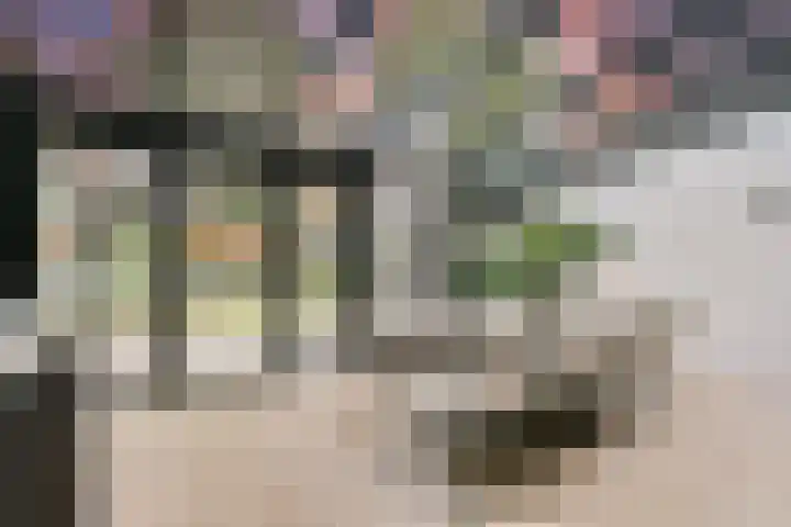 Smeekweg 19 Laren thumbnail 39