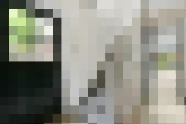 Smeekweg 19 Laren thumbnail 4