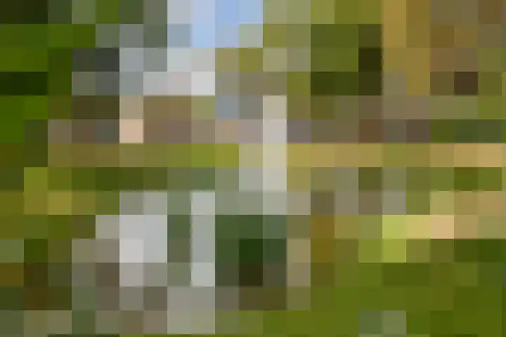 Smeekweg 19 Laren thumbnail 40