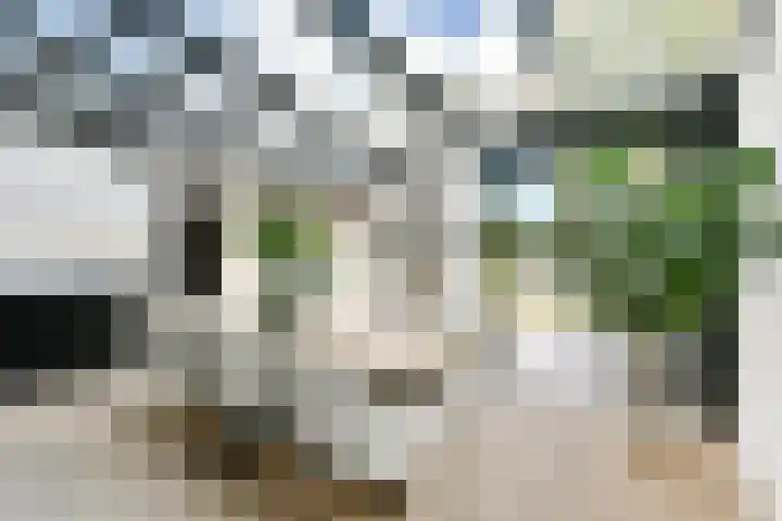 Smeekweg 19 Laren thumbnail 6