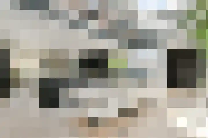 Smeekweg 19 Laren thumbnail 7