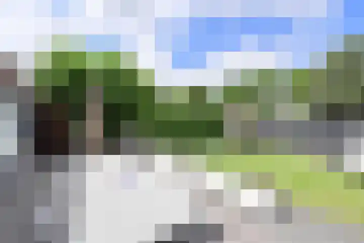 Smeekweg 2 b Laren thumbnail 13