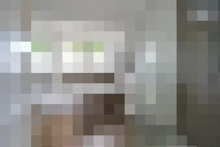 Smeekweg 2 b Laren thumbnail 18