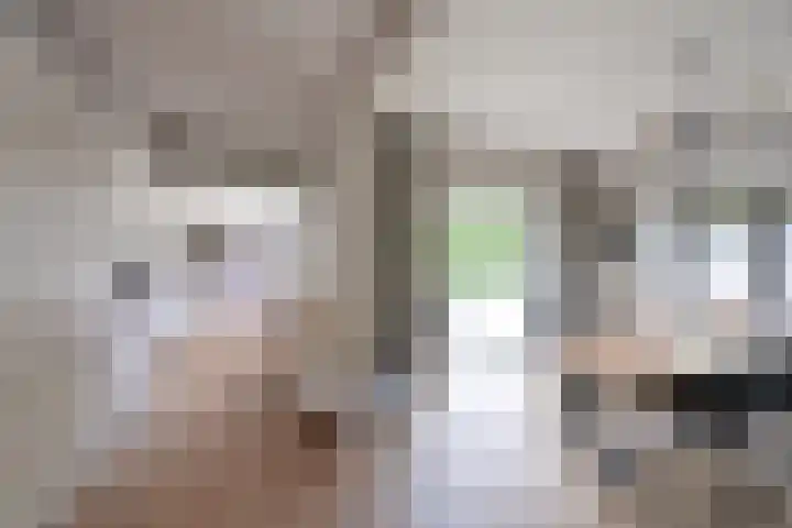 Smeekweg 2 b Laren thumbnail 8