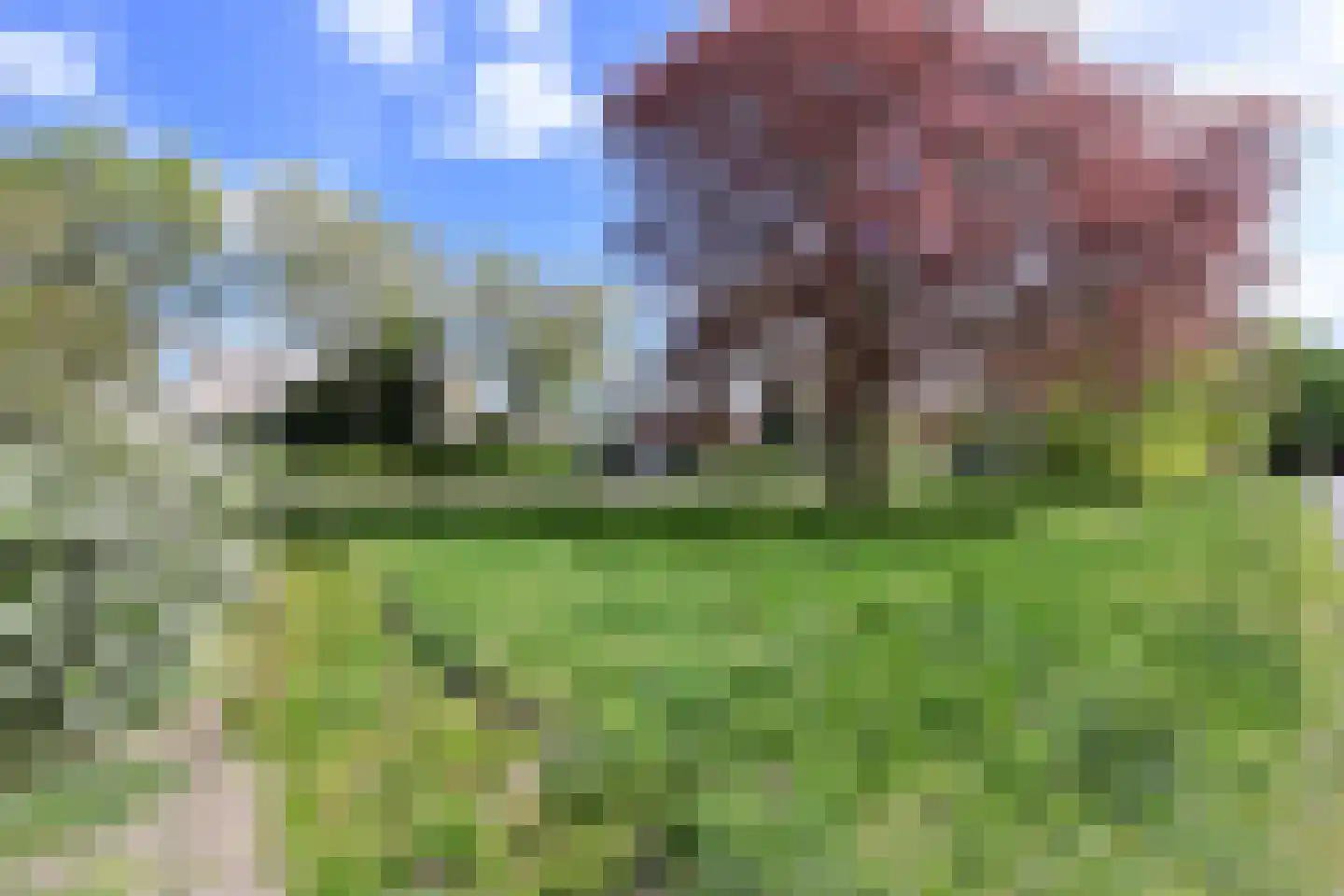 Smeekweg 64 Laren thumbnail 18