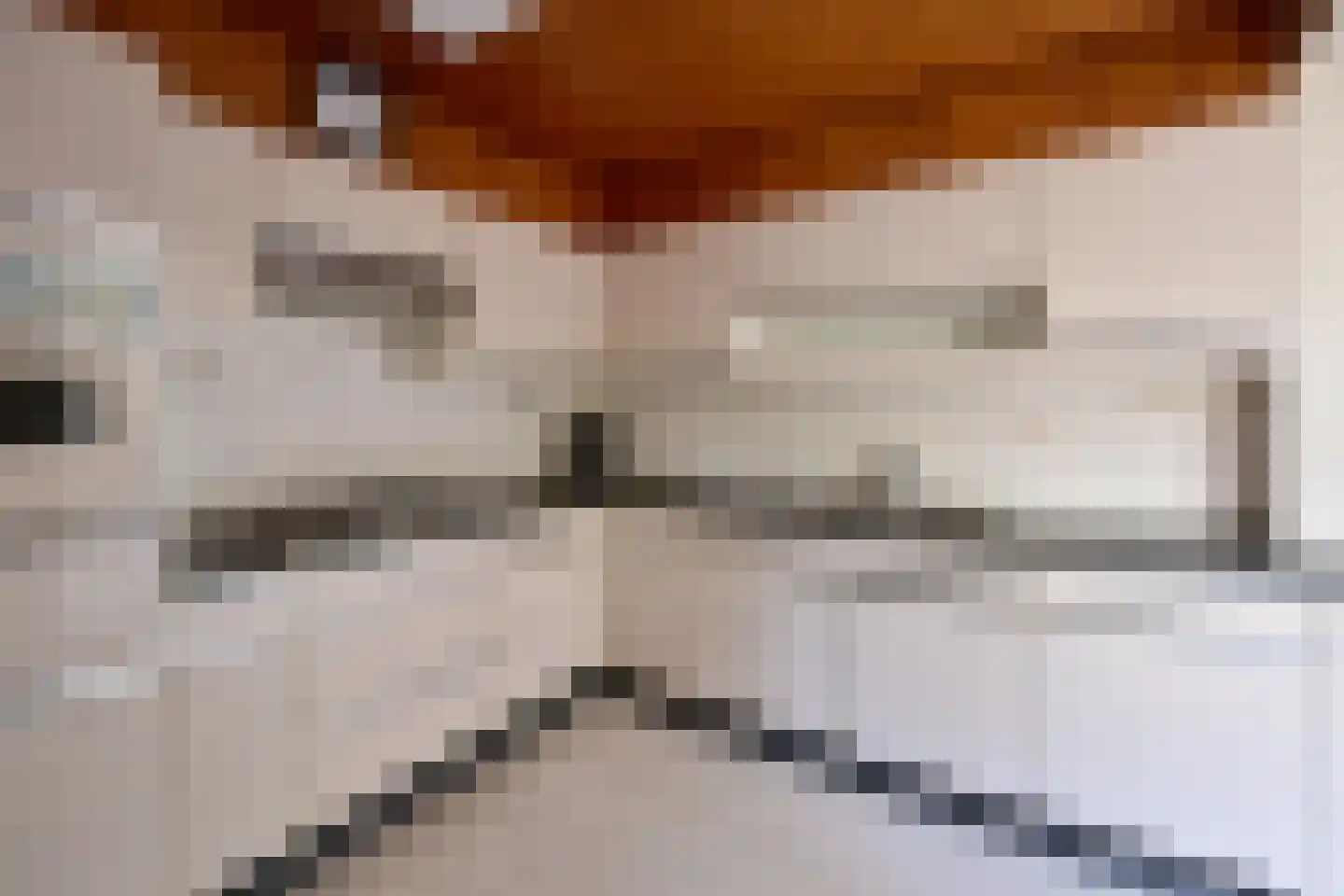 Smeekweg 64 Laren thumbnail 6