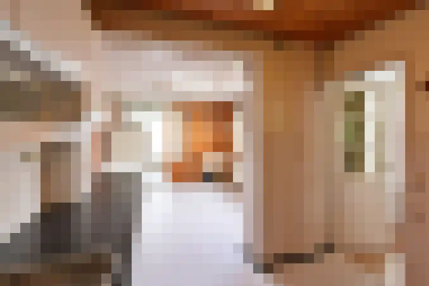 Smeekweg 64 Laren thumbnail 8