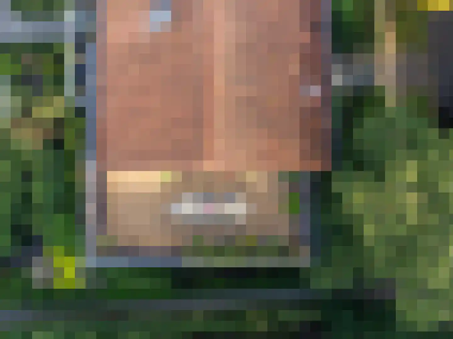 Smeekweg 76 e Laren thumbnail 31