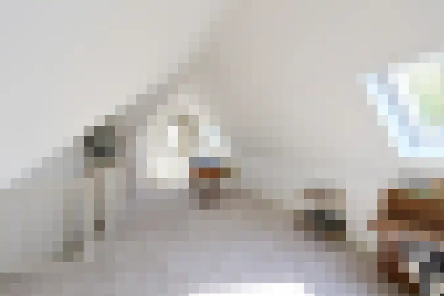 Smeekweg 98 a Laren thumbnail 20
