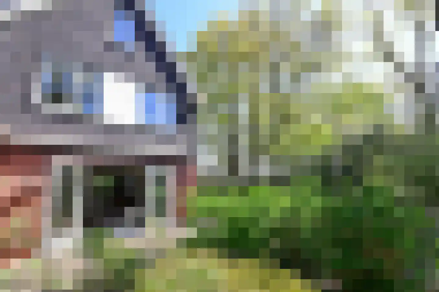 Smeekweg 98 a Laren foto 3