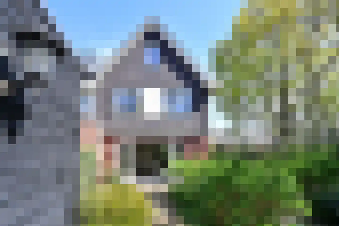 Smeekweg 98 a Laren thumbnail 5