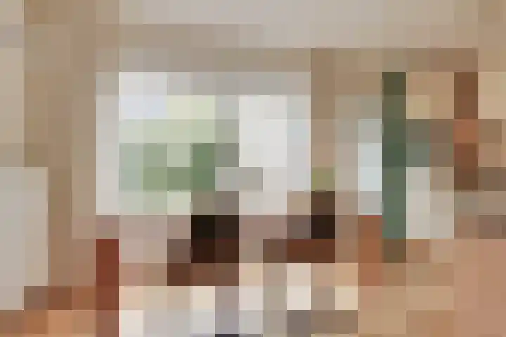 Smeemanlaan 14 Bergen (NH) thumbnail 11