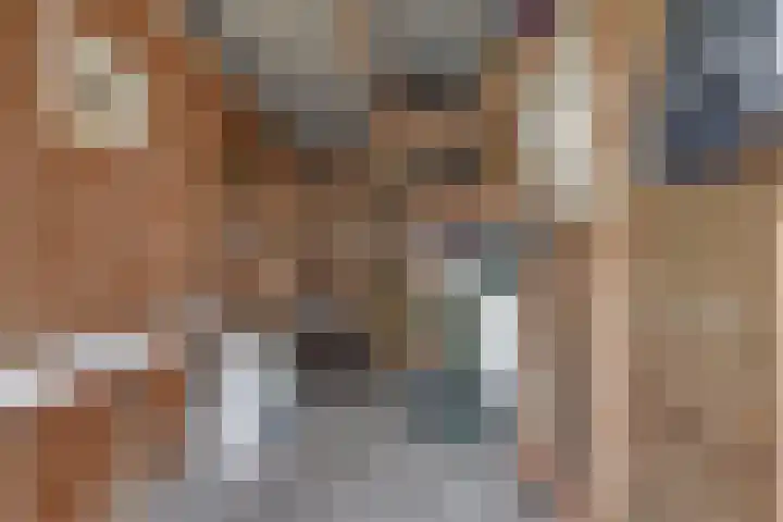Smeemanlaan 14 Bergen (NH) thumbnail 39