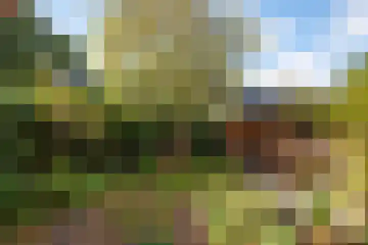 Smeemanlaan 14 Bergen (NH) thumbnail 41