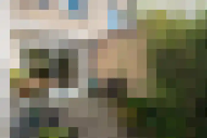 Smeemanlaan 14 Bergen (NH) thumbnail 46