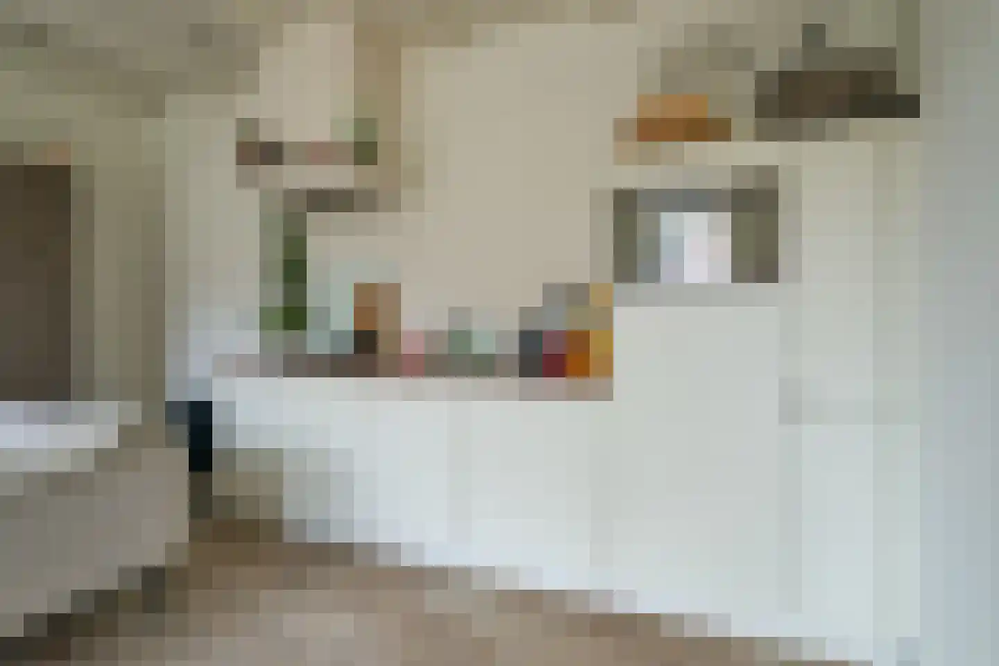 Smeepoortenbrink 11 Harderwijk thumbnail 15