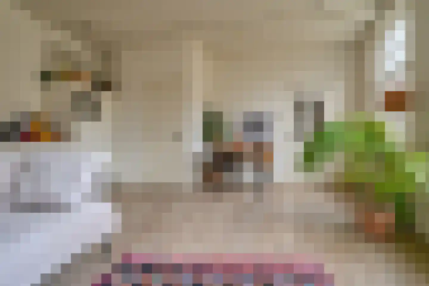 Smeepoortenbrink 11 Harderwijk thumbnail 17