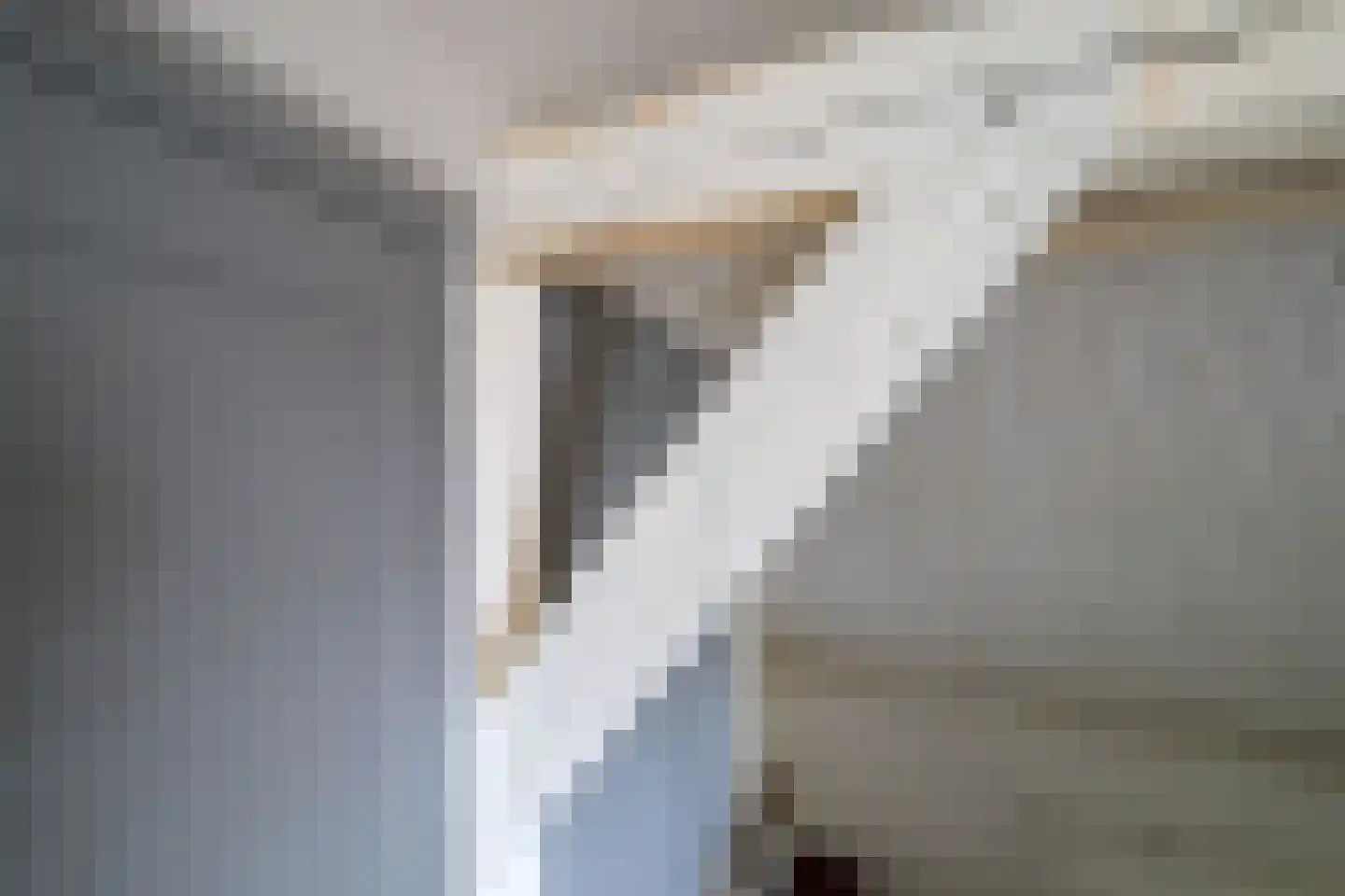 Smeepoortenbrink 11 Harderwijk thumbnail 27