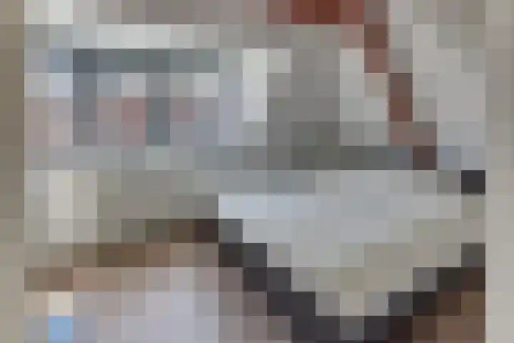 Smeepoortstraat 21 A Harderwijk thumbnail 26