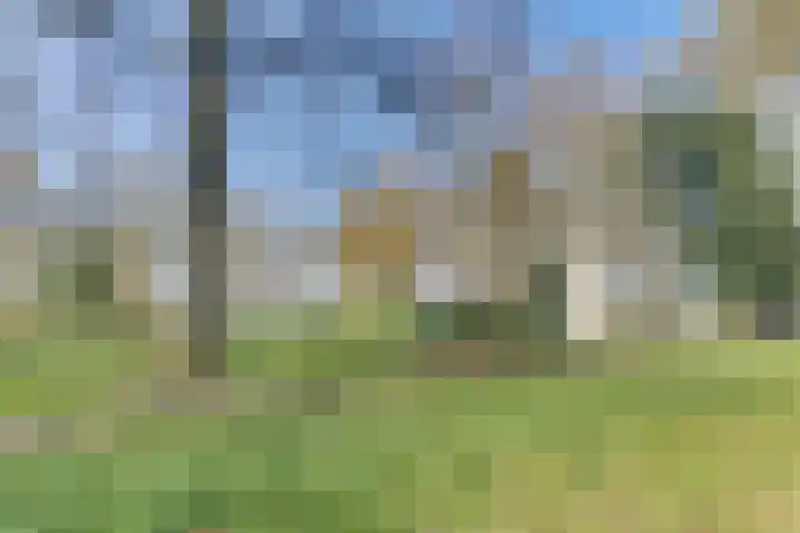 Smeepoortstraat 21 A Harderwijk thumbnail 34